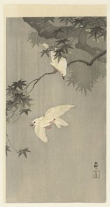 Birds in Rain