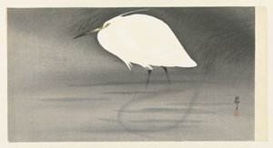 Silver Heron