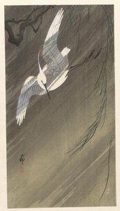 Silver Heron in Storm