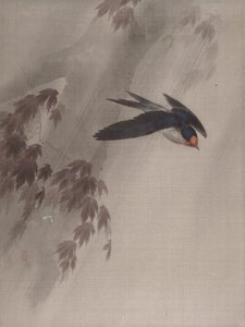 A Swallow in the Rain