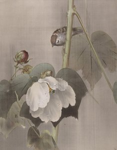 Cotton Rose Mallows in the Rain by Okada Baison