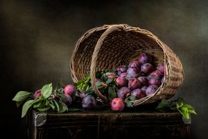 Dark Plums Still Life by Olga Aleksandrovna