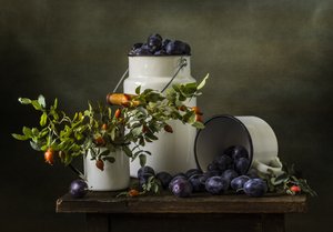 Rustic Plum Harvest by Olga Aleksandrovna