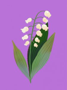Lily of the Valley by Olga Skomorokhova