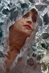 Vera Kholodnaya
