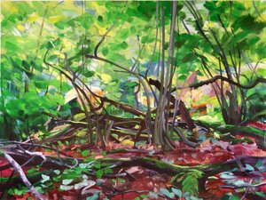 Forest 12, 2015