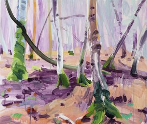 Forest 14