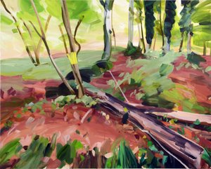 Forest 25, 2017