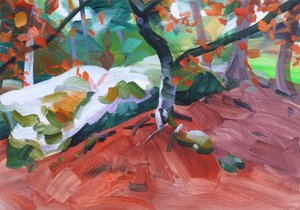 Forest 31