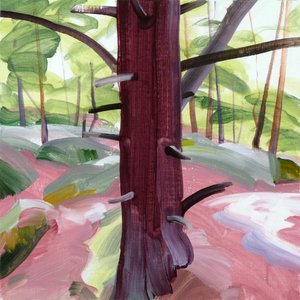 Forest 39, 2018