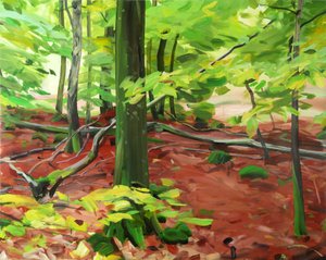 Forest 5