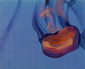 Jellyfish 5, 2013