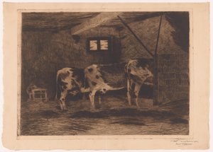 Three Cows in a Stable, Seen from Behind