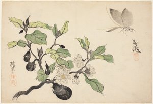 Eggplant with Fruit and Flowers by Onishi Chinnen