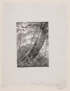 A Log by Oscar Andersen