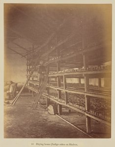Drying house (indigo cakes on shelves) by Oscar Jean Baptiste Mallitte