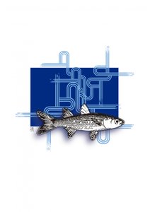 Blue Geometric Fish by Osvaldo Russo