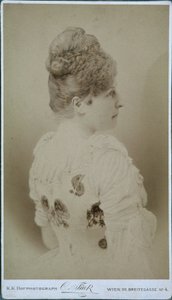 Crown Princess Stephanie of Austria