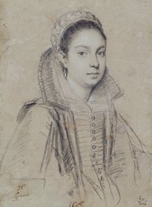 Portrait of a Lady
