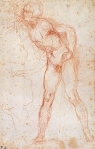 Study of a male nude turned to the left by Ottavio Vannini