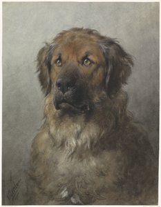 Head of a Leonberger, Facing Front by Otto Eerelman