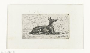 Lying Greyhound