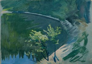 Lake Corner near Berghof