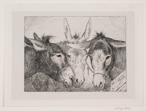 Three Donkey Heads