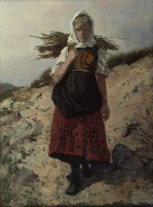 Firewood Gathered
