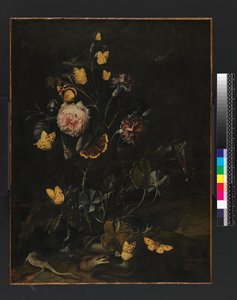 Flowers, Insects and Reptiles