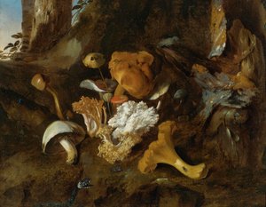 Forest Floor Still-life with Mushrooms, Butterflies and a Snake