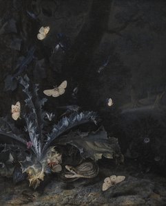 Still Life with Thistle and Snake