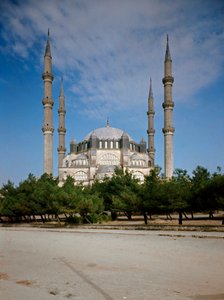 View of the Mosque by Ottoman School