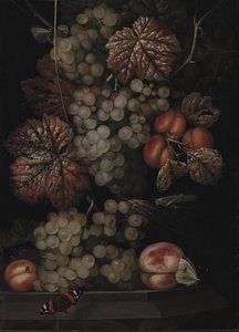 Still Life