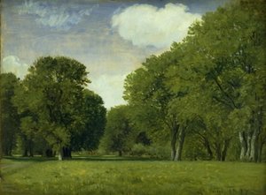 The Deer Park. Study