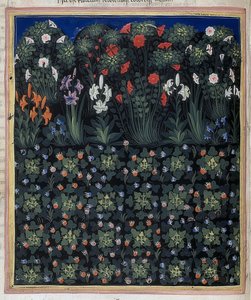 Garden (From: Regia Carmina by Convenevole da Prato). Around 1335