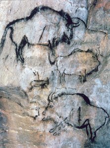 Injured Bison, Magdalenian