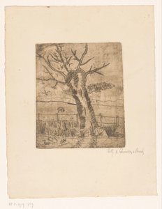 Willow Tree in Front of a Fence