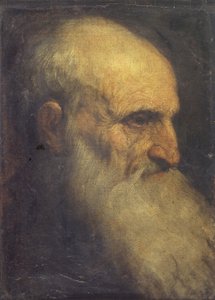 Head of a Man (front) by Palma Il Giovane