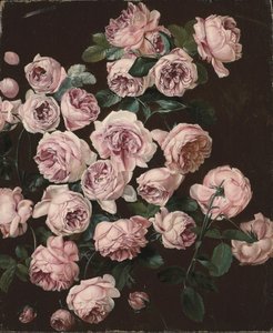 A Rosebush by Pancrace Bessa