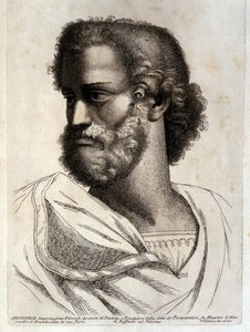 Aristotle by Paolo Fidanza
