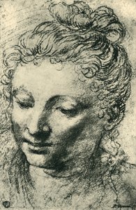 Head of a woman looking down, mid 16th century, 1943