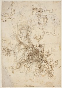 Sketches for the Birth and Death of Adonis