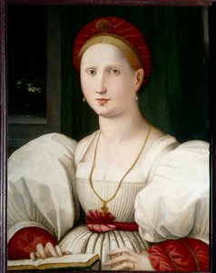 Portrait of a Woman by Paolo Zacchia