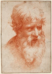 Head of a Bearded Man, looking right, c.1523-25 by Parmigianino (1503 40)