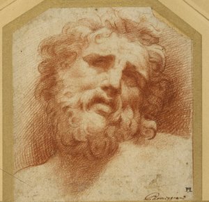 A bearded head, looking up (possibly Laocoon)