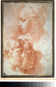 Study of the Heads by Parmigianino