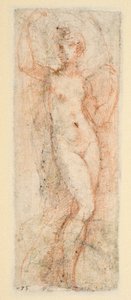 Female figure - study for the Steccata by Parmigianino