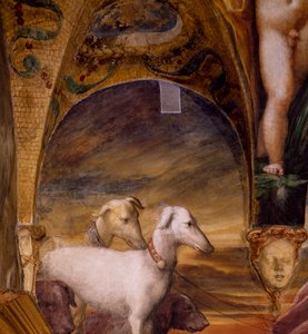 Group of dogs, from Myth of Diana and Actaeon