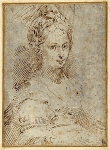 Half-length of a seated woman by Parmigianino